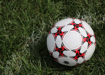 Top 10 Essential Sports Tips for the True Fan