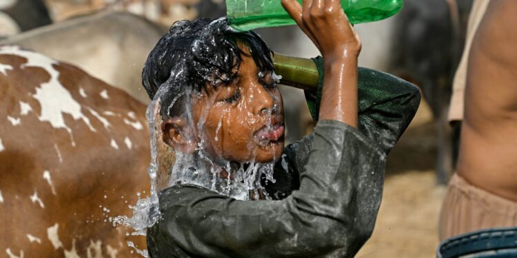 Month of May was world’s second-warmest on record: EU scientists | Climate Crisis News