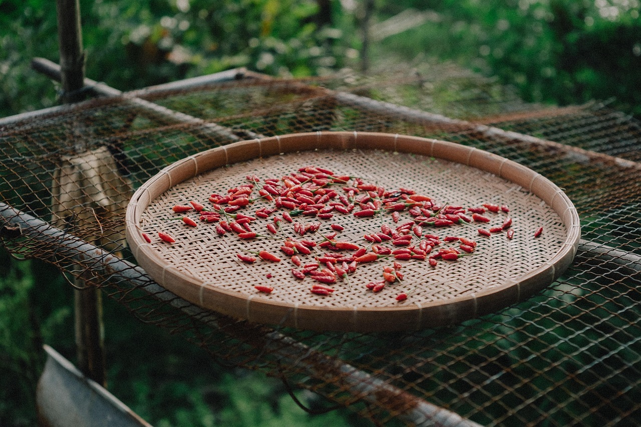 Food – Image 1