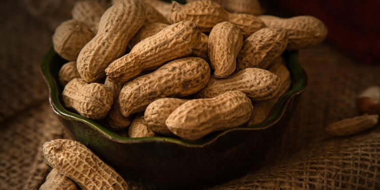 5 Delicious Global Recipes for the Home Cook to Try