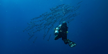 Top 5 Secrets For Affordable Globe-Trotting Adventures!