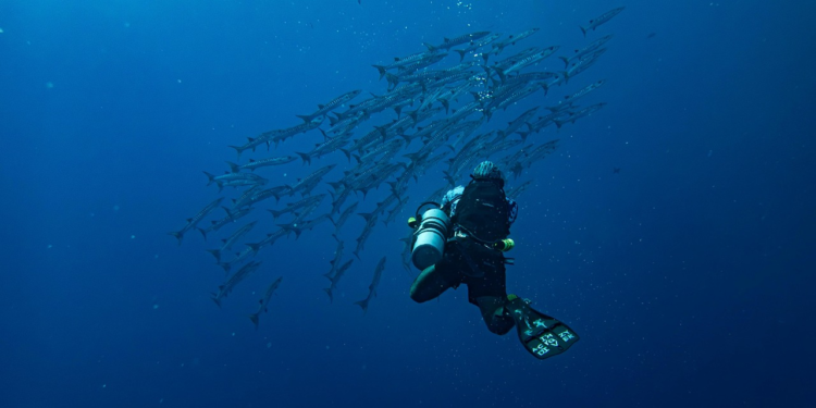 Top 5 Secrets For Affordable Globe-Trotting Adventures!