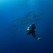 Top 5 Secrets For Affordable Globe-Trotting Adventures!