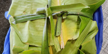 An epic quest for the national dish of Vanuatu: Laplap