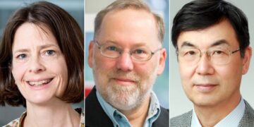 Nobel Prize in medicine goes to trio of scientists for discovering how the immune system is kept in check