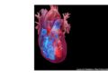 New research finds 62% of AFib patients were unaware of the condition before diagnosis