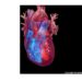 New research finds 62% of AFib patients were unaware of the condition before diagnosis