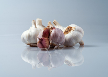 Delicious Cuisine: Exploring the Wonder of Food