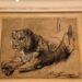 Video. Rembrandt’s rare 400-year-old lion drawing goes up for auction