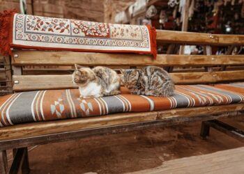 Pet-Proof Fabrics: Fashionable Pieces That Survive Kids, Dogs, and Busy Homes