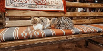 Pet-Proof Fabrics: Fashionable Pieces That Survive Kids, Dogs, and Busy Homes