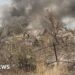 How robots are a lifeline to troops on Ukraine’s eastern front