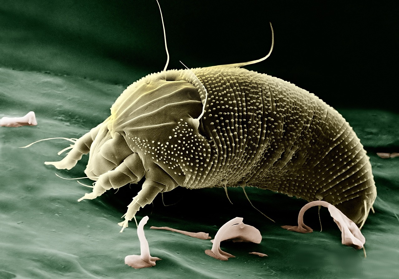 Science – Image 1