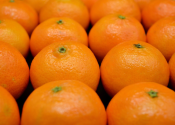 Exploring the Incredible World of Exotic Foods