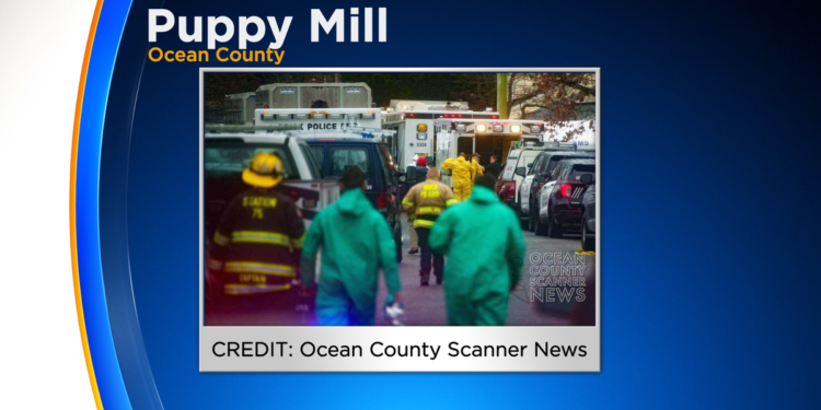 Almost 200 animals rescued from puppy mill in Ocean County