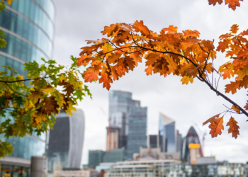 Unraveling Secrets of a Flourishing Economy: A Deep Dive