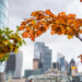 Unraveling Secrets of a Flourishing Economy: A Deep Dive