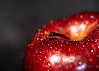 7 Essential Health Tips for a Vibrant Lifestyle