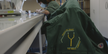 How reality crushed Ÿnsect, the French startup that had raised over $600M for insect farming