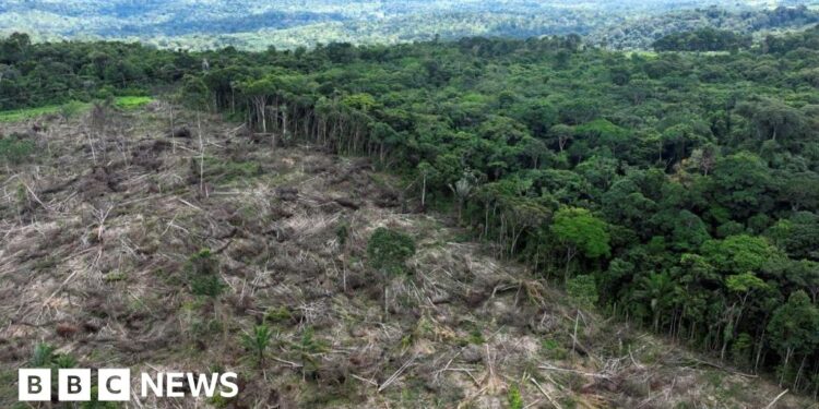 Nature loss is a national security risk, intelligence groups warn