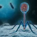 Scientists are building viruses from scratch to fight superbugs