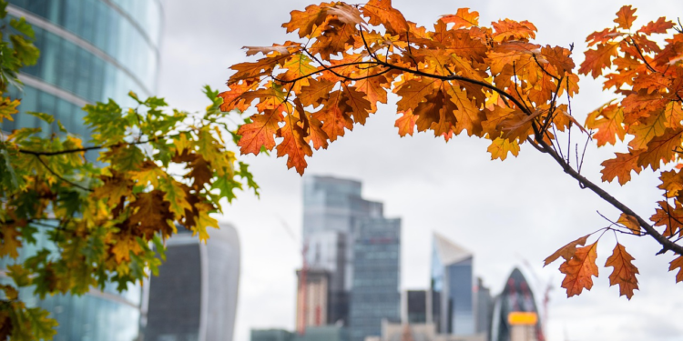 Uncovering Secrets: Top 10 Trends in Global Business & Economy