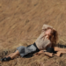 Discovering Bold Trends: Top 10 New Age Fashion Tips