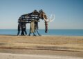 See the journey of Nick Cave’s ‘Mammoth’ exhibition, from Chicago to DC