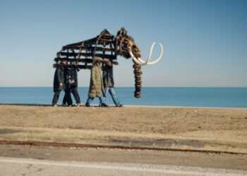 See the journey of Nick Cave’s ‘Mammoth’ exhibition, from Chicago to DC