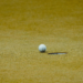 Revolutionizing Your Game: Pro Strategies for Sports