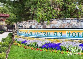Guide to Onsite vs Offsite Hotels at Disneyland