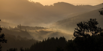 10 Essential Tips for a Stress-Free Globe Trotting Experience