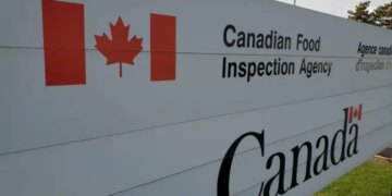 ZoRaw chocolate recalled in Canada due to ‘improperly declared milk’ – National