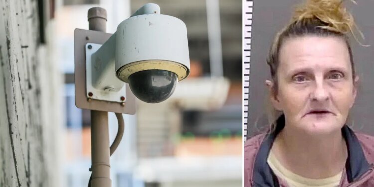 Facial recognition error lands Tennessee grandmother in jail for 5 months