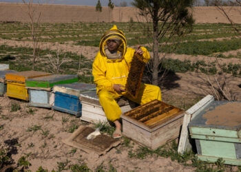 The Women Running Businesses Under Taliban Rules