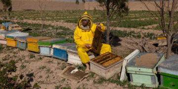 The Women Running Businesses Under Taliban Rules
