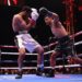 Jack Catterall Tells Rolly Romero To Vacate WBA Title If He Won’t Fight Him