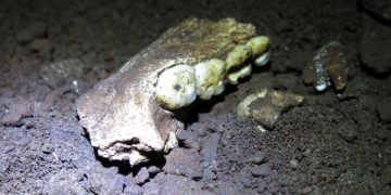 Fossils of archaic human found in a cave are the same sex. Scientists want to learn why