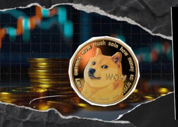 ‘1 DOGE = 1 DOGE’: Dogecoin Director Says What Truly Matters Amid Market Drop