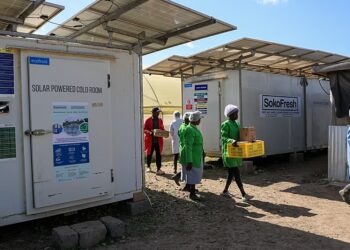 In Kenya cold chain breakthrough helps farmers save more, earn more