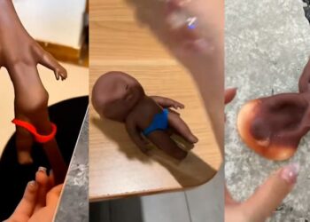 China’s ‘Natasha’ toy trend draws backlash over violence and racism
