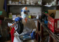 Scientists Race to Test Treatments as Ebola Outbreak Widens