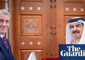 Bahraini award to UK envoy shows ‘our diplomats are up for grabs’, says peer | Bahrain