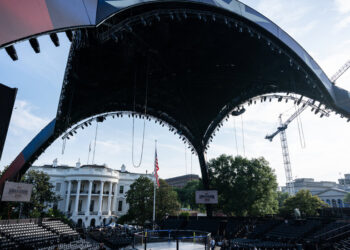 Merger Cleared, David Ellison to Join Trump at U.F.C. Bouts