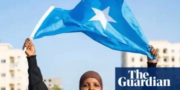 Outrage as woman jailed for three years after criticising Somali government online | Global development