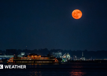 June 2026 full Moon: How and when to see the Strawberry Moon rise in the UK