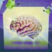 The Meaning of 'Brain Health' Depends on Who You Ask