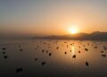 The Strait of Hormuz is ‘leaking’ oil