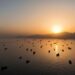 The Strait of Hormuz is ‘leaking’ oil