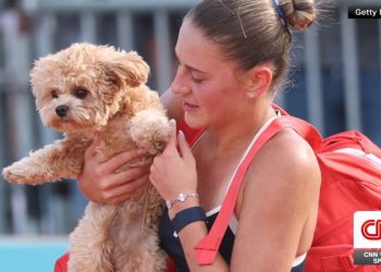 Dogs on Tour: Professional tennis players bring their pups on the road